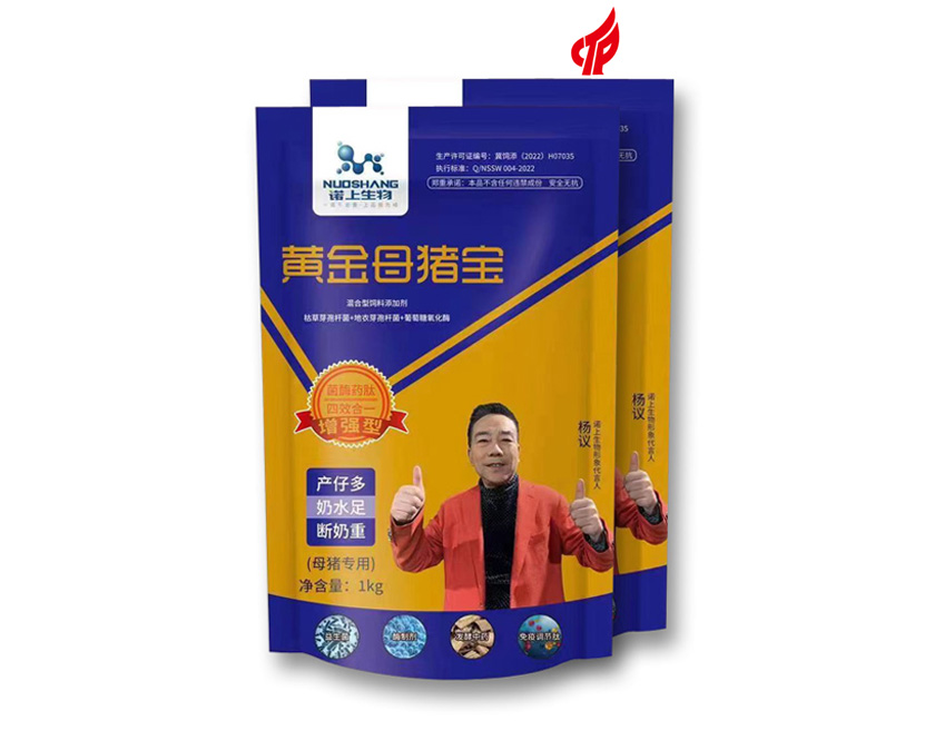 黄金母猪宝